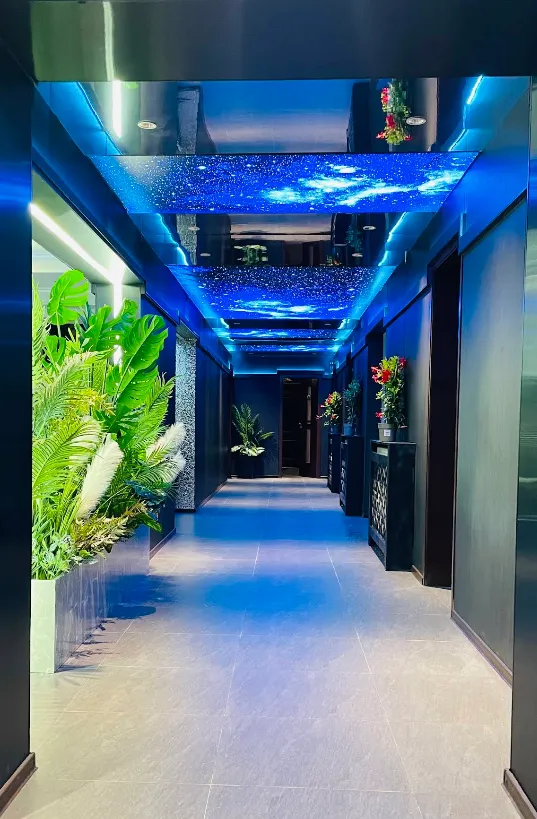 Pipera Flagship - gallery 2